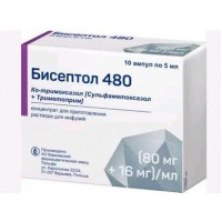 БИСЕПТОЛ 480 (80МГ+16МГ)/МЛ. 5МЛ. №10 КОНЦ. Д/Р-РА Д/ИНФ. АМП. /ПОЛЬФА/